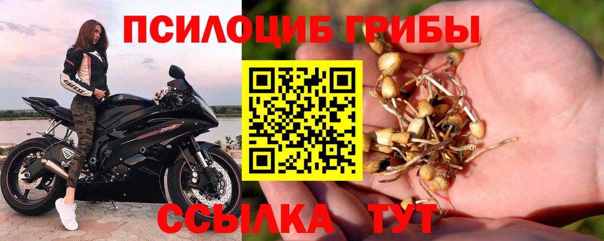 Муравленко  Псилоцибиновые грибы Magic Shrooms  Вход с VPN 